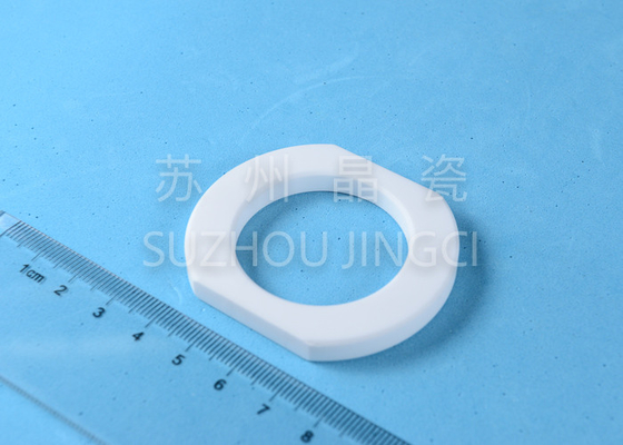High Hardness 95% Al2O3 Ceramic Pump Seal